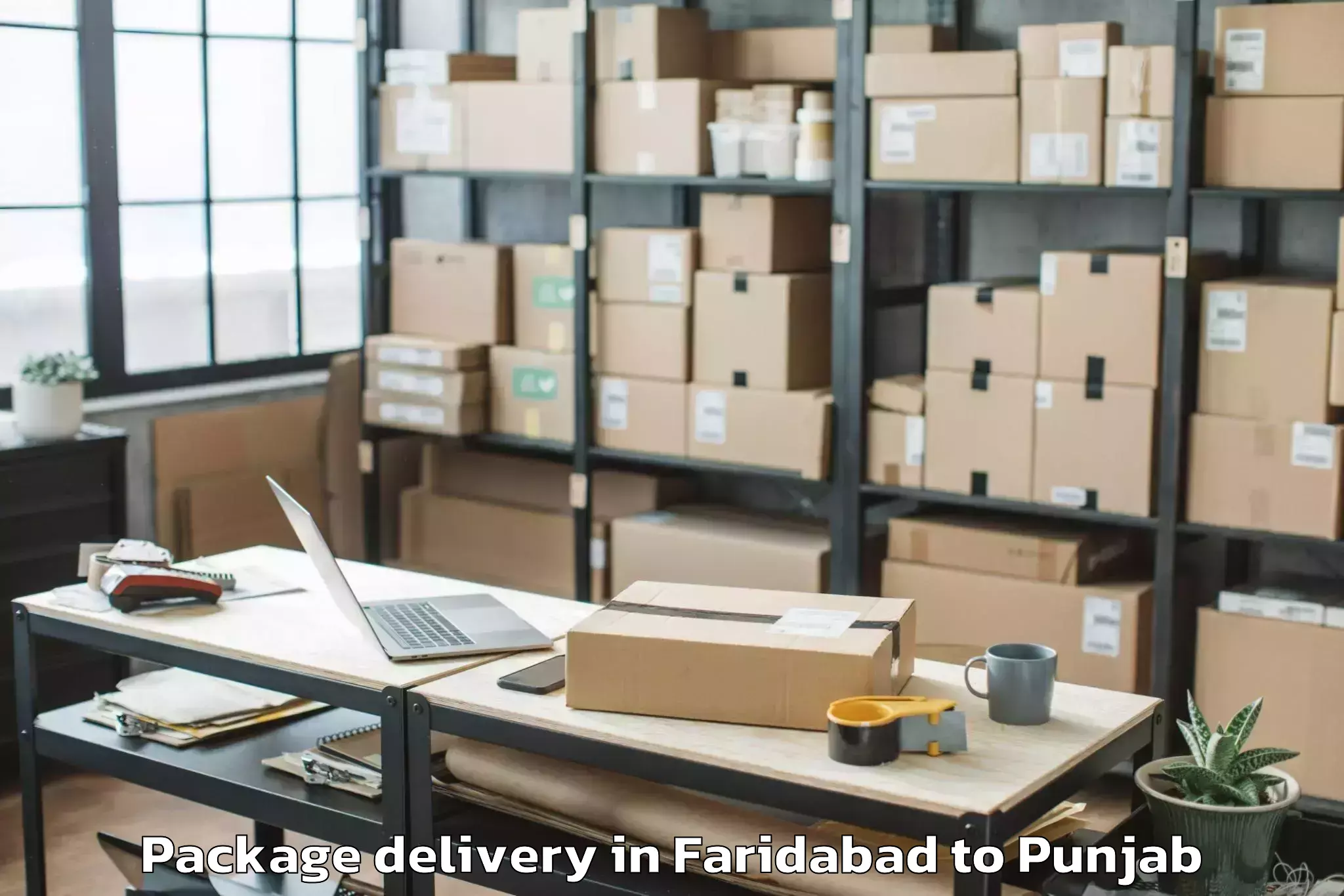 Faridabad to Rupnagar Package Delivery Booking